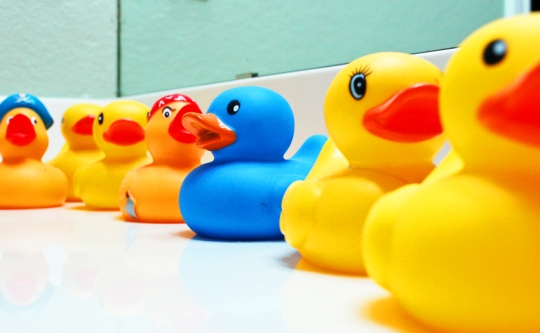 do you have your ducks in a row?